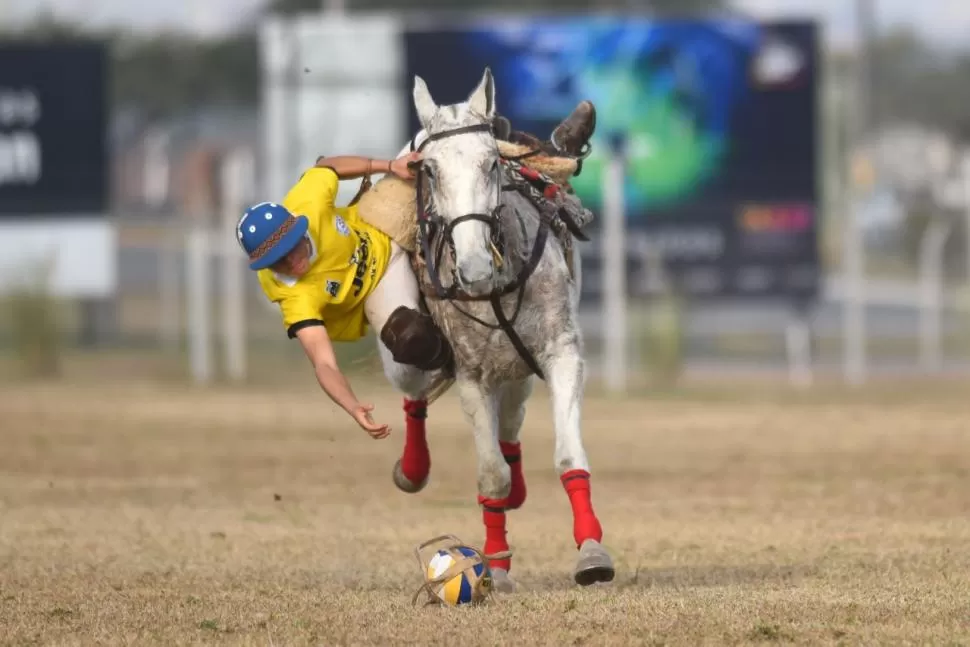 SU LUGAR EN EL MUNDO. Marcos decidió abandonar el rugby y dedicarse de lleno al pato junto con su papá. Cuando termine el secundario quiere seguir veterinaria. la gaceta / fotos de DIEGO ARAOZ