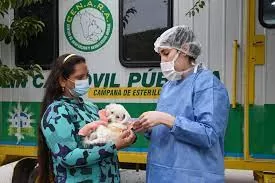  Castración de mascotas.