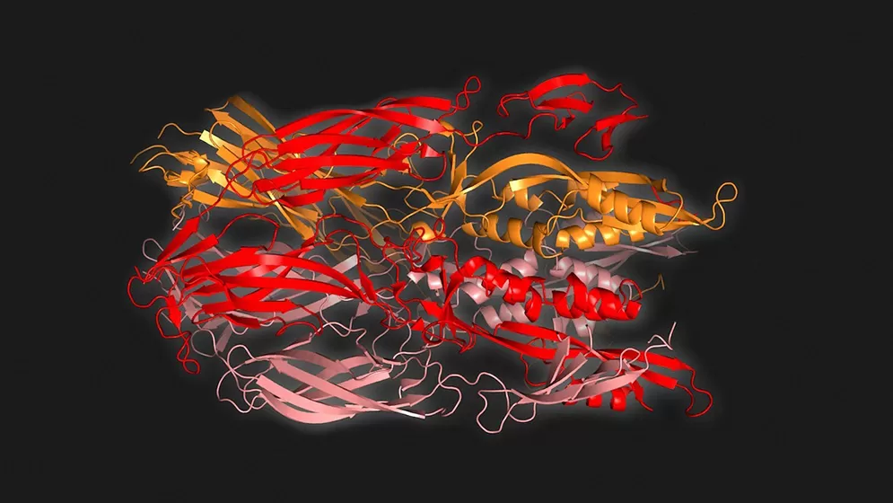 FUSEXIN 1. Proteína identificada en arqueobacterias que dio lugar a las que fusionan los gametos. 