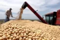 Dólar soja en la Argentina: el BCRA anunció una divisa diferencial para el agro