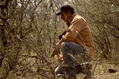 La agenda del Festival Tucumán Cine para hoy