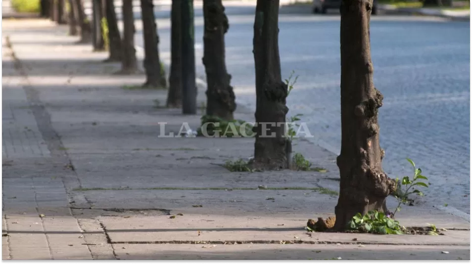 Servicio Meteorológico Nacional: cómo estará el clima el fin de semana en Tucumán