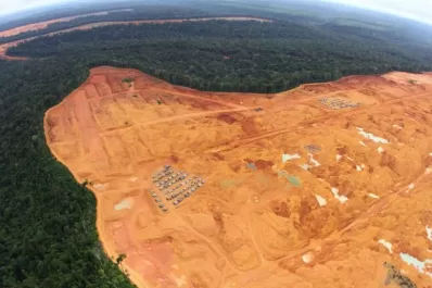 Miles de hectáreas de selva amazónica peligran, si Brasil amplía la zona minera