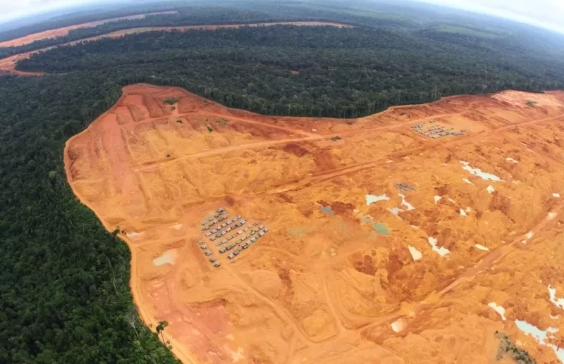 AMAZONAS. El retroceso de la frontera verde es un problema grave.  