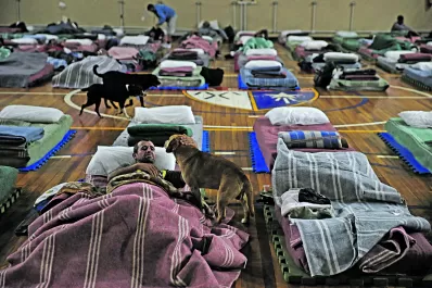 Brasil: refugio para indigentes que tienen mascotas