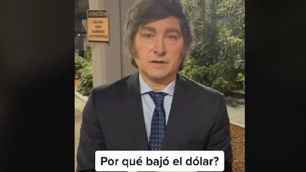 Javier Milei. Captura de video de Tik Tok