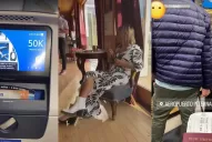 El viaje a Estados Unidos de una funcionaria tucumana: casamiento y festejo