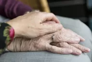 Lo que se lleva el 22 - sistema previsional