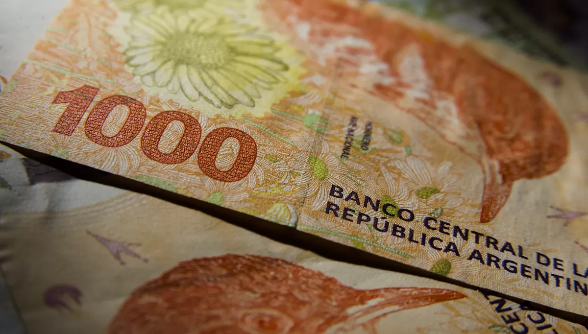 Anses: qué otras prestaciones tendrán un aumento del 15,53%