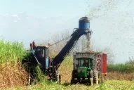 La zona cañera de Tucumán muestra actualmente un avance general de cosecha de casi el 59%