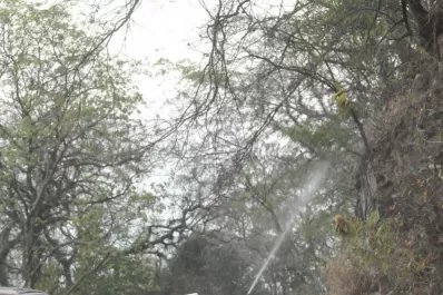 Una pequeña chispa puede incendiarlo todo