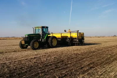 Cultivos invernales: clave en los sistemas productivos del NOA, con doble beneficio