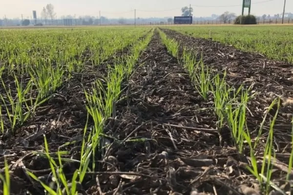 Mejor humedad al norte y al centro de Tucumán