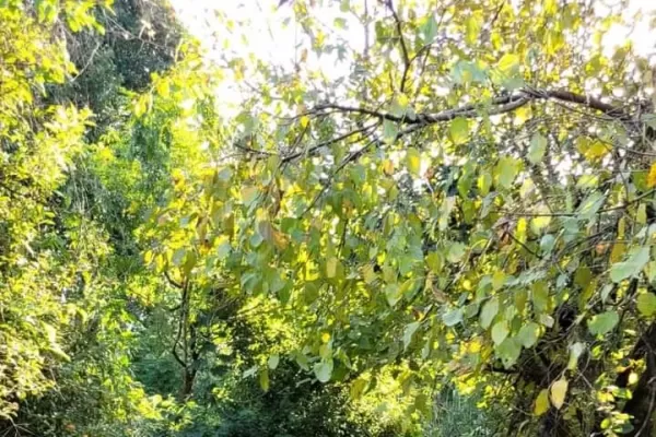 “Trasmontaña Pasión Biker”: sabe lo que es superarse