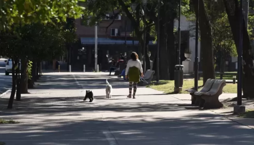 ¿Habrá tormenta de Santa Rosa? El sorprendente pronóstico del tiempo en Tucumán para los próximos 10 días