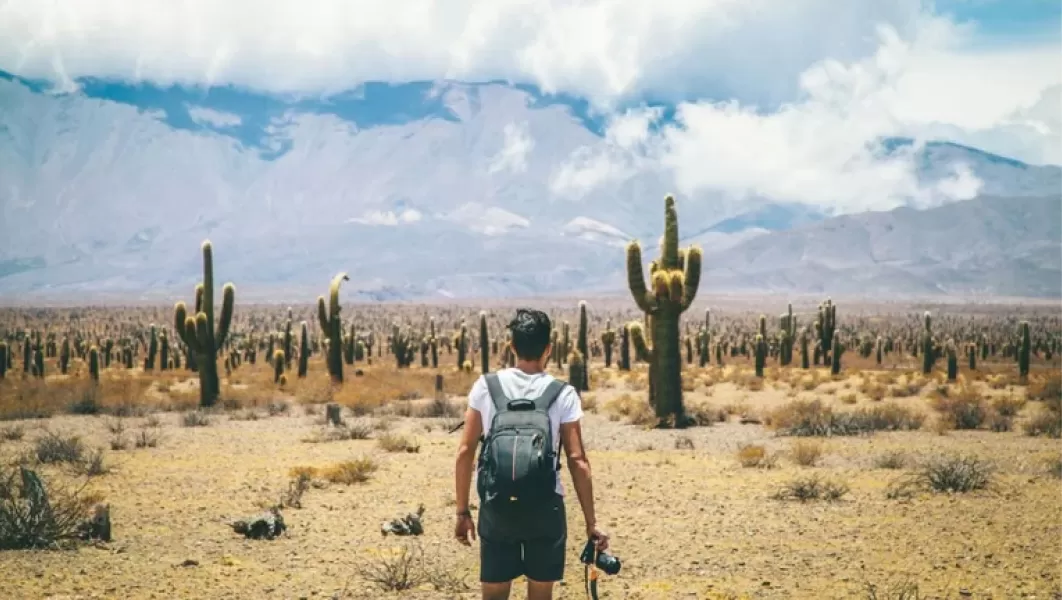 En la región del NOA se encuentra la Ruta de los Valles, Quebradas y Yungas (Crédito: Prensa Ministerio de Turismo y Deportes de la Nación)