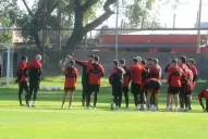 San Martín: el árbol no tapa el bosque