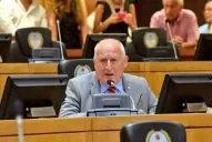 Coparticipación: El legislador José Ascárate presentó una denuncia contra Alberto Fernández