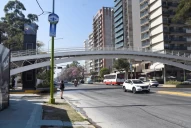 Encuesta LA GACETA: ¿Estás de acuerdo con que algunas avenidas de la capital sean mano única?