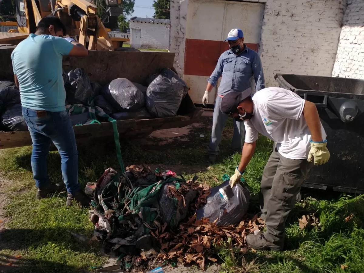 “El dengue es una enfermedad que vino para quedarse”