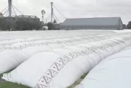 Los acopiadores de granos le enviaron por carta a Massa propuestas para mejorar el dólar soja