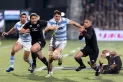 Los Pumas y la conquista de la tierra negra