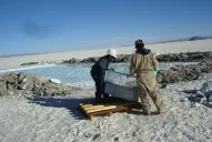 El litio, apuesta para cambiar la matriz productiva