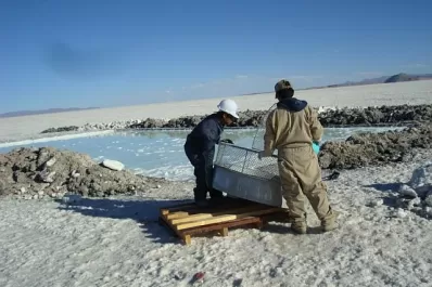 El litio, apuesta para cambiar la matriz productiva