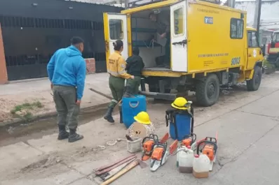 Retiraron un eucalipto de 30 metros de altura