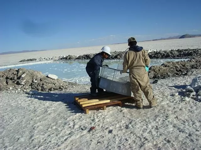 AMPLIO ESPACIO. Hay 870.000 ha disponibles en la Puna argentina. fundacion proydesa