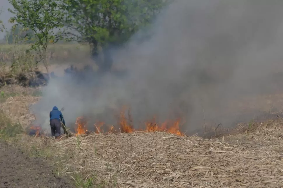 EN EL MOMENTO JUSTO. El fotógrafo de LA GACETA captó el momento en el que obreros de una finca quemaban la caña. LA GACETA / FOTO DE Osvaldo Ripoll