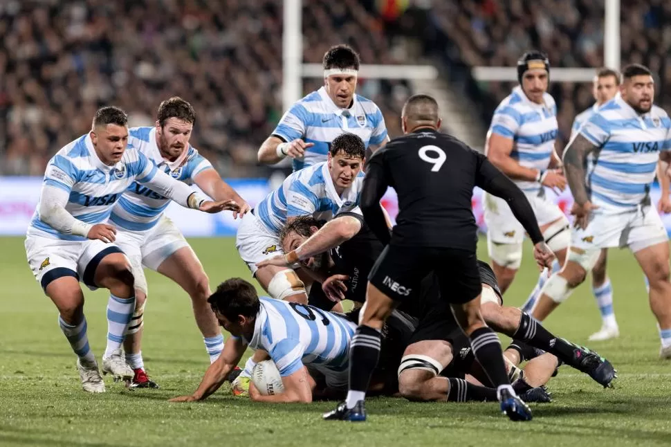 FIRMES. Los Pumas vienen de dar dos golpes históricos. Este sábado jugarán la revancha contra los All Blacks. 