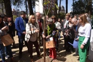 En la semana del árbol, plantarán 260 ejemplares en la capital