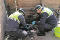 La abuela del niño intoxicado con cocaína complicó al padre