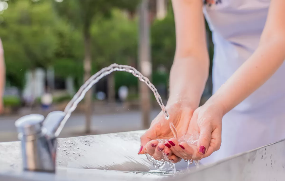 Legionella: ¿es posible la transmisión de persona a persona?