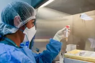 Brote de neumonía en Tucumán: cuándo podrían estar los resultados de las muestras enviadas al Malbrán