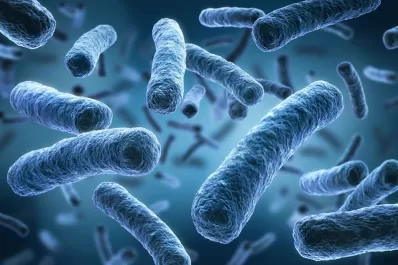 Legionella: en qué otros países del mundo se registraron casos