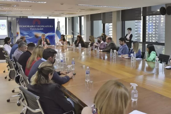 Tucumán: comenzaron a debatir el Código Procesal de Familia en la Legislatura