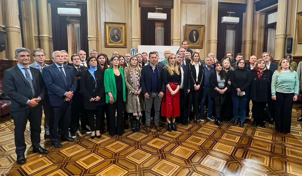 UNIDOS. Los senadores dejaron de lado las banderías políticas para solidarizarse con la vicepresidenta, Cristina Fernández; abren y cierran la primera fila los tucumanos Pablo Yedlin (FdT) y Beatriz Ávila (JxC).