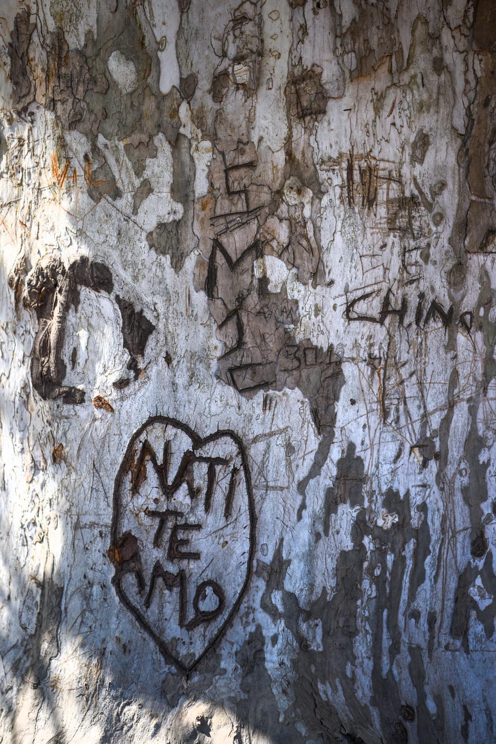 INNECESARIO. Habría que encontrar otras formas de expresar amor.  