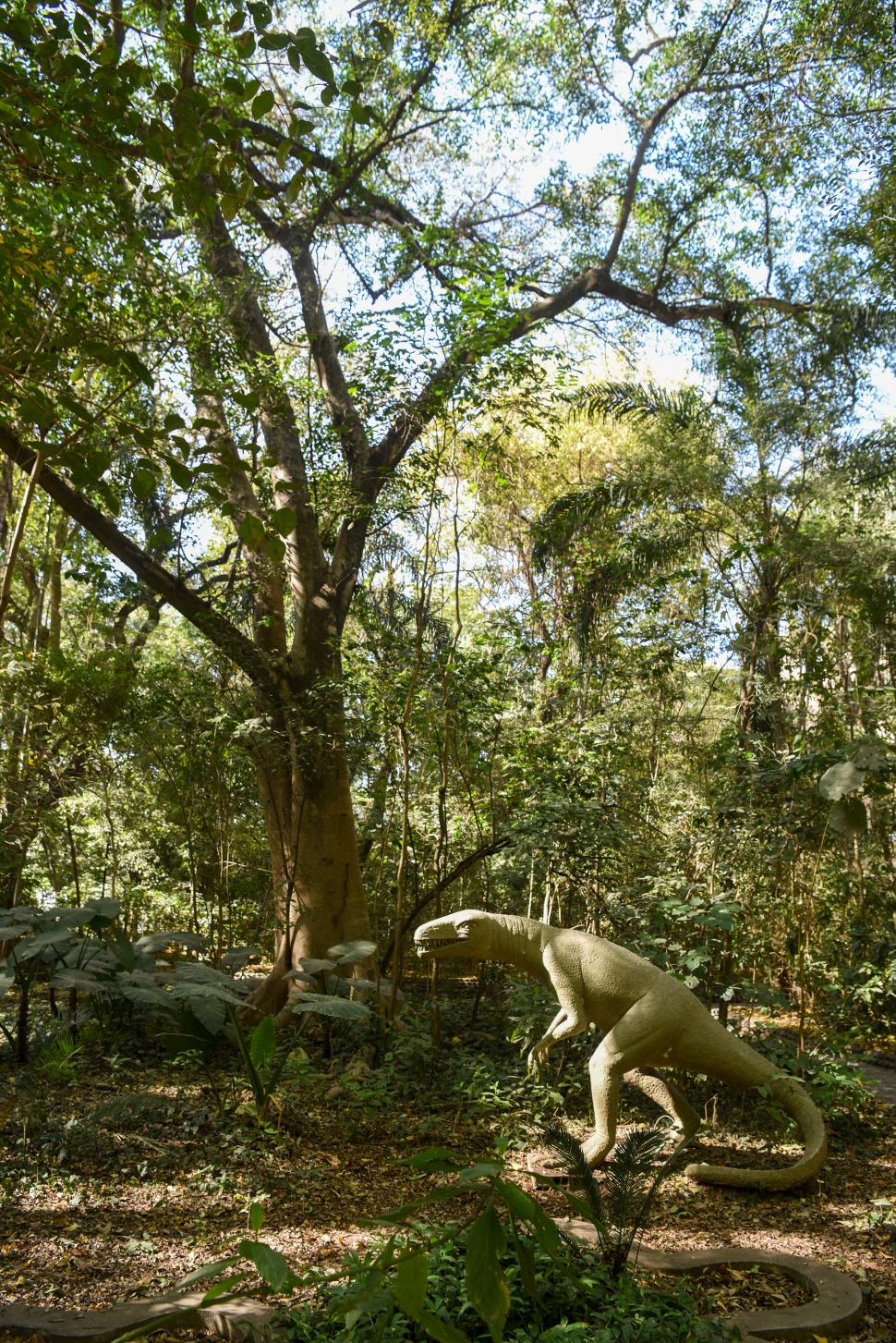 EN EL LILLO. En los jardines del Instituto se cuidan los árboles y su entorno, que es natural. 