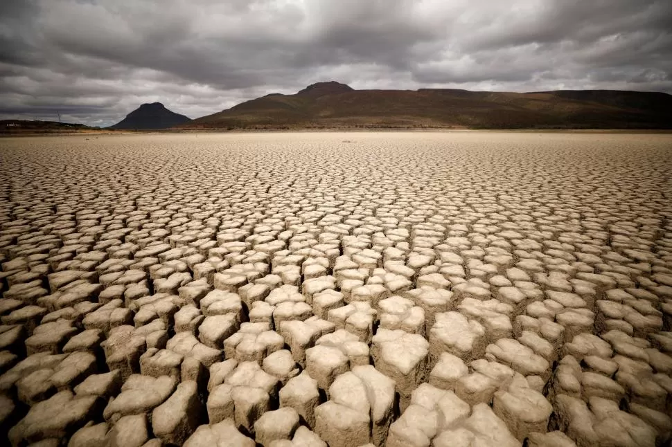 Cuatro formas en las que el cambio climático influye en más de 200 enfermedades