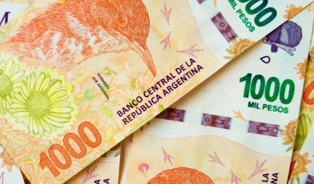 Bono Anses: ¿quiénes podrán cobrar los $ 50.000?