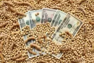 Dólar soja: siguen en alza las ventas y ya superan los 2,13 millones de toneladas