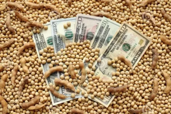 Dólar soja: siguen en alza las ventas y ya superan los 2,13 millones de toneladas