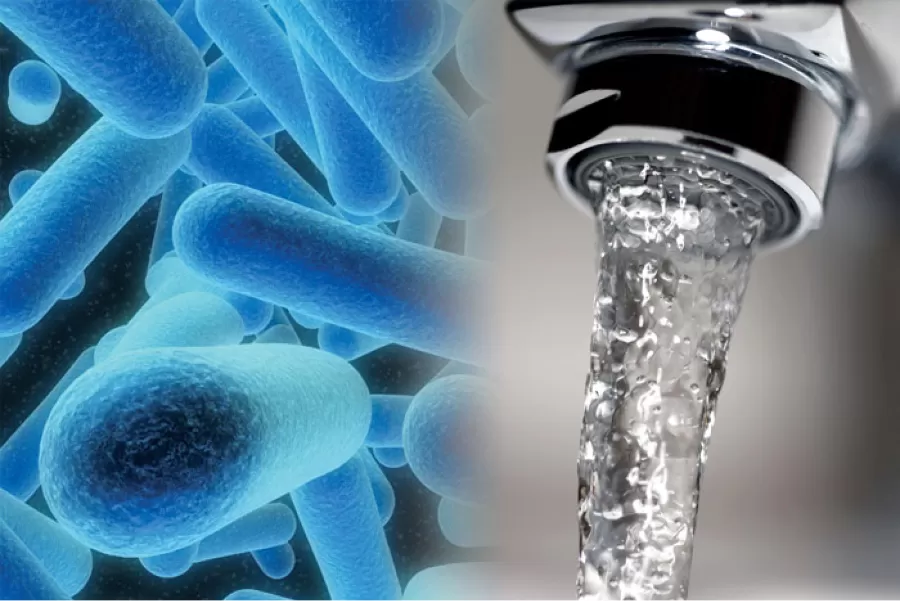 Brote en Tucumán: ¿por qué surge la legionella en casa?