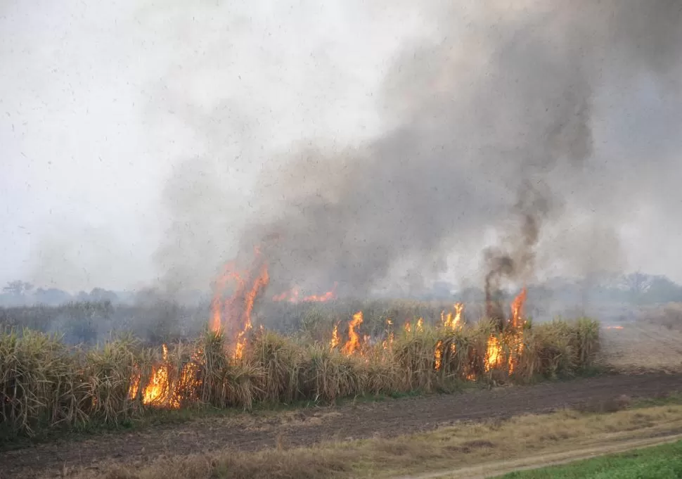 LA QUEMA DE ESTA ÉPOCA. Cañaverales y pastizales en combustión llenan el aire de partículas.   