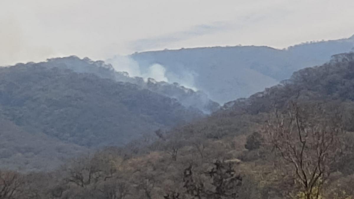 Combaten un incendio en una zona inaccesible de Sauce Yacu