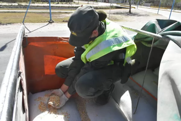 Frontera Norte: decomisan 90 toneladas de maíz, soja partida y semillas sin documentación