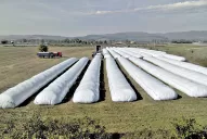 El BCRA subió la tasa de créditos para productores de soja